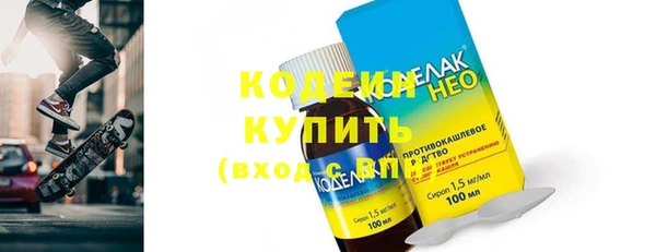 шишки Аркадак