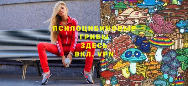 шишки Аркадак