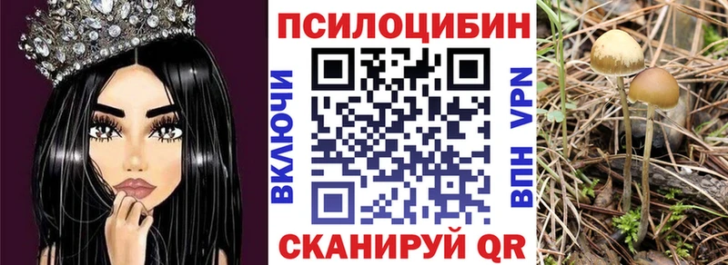 Псилоцибиновые грибы Psilocybe  Няндома 